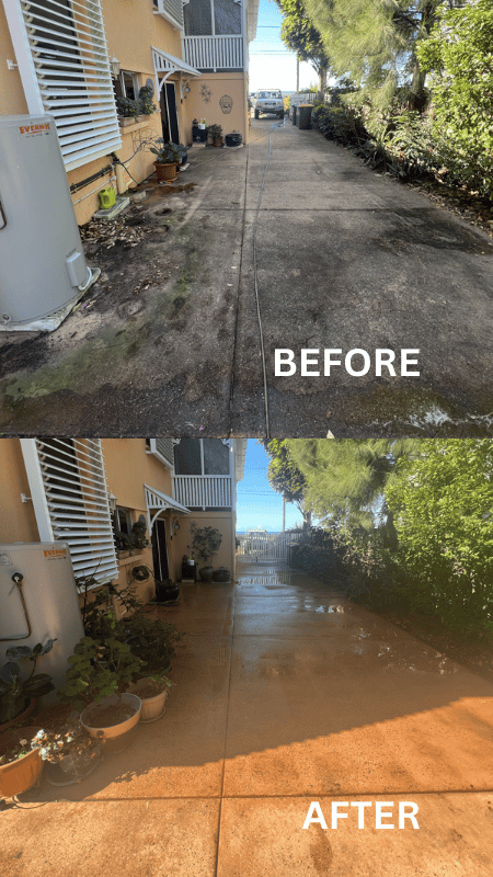 Hi-cleanse - Before and After (1)